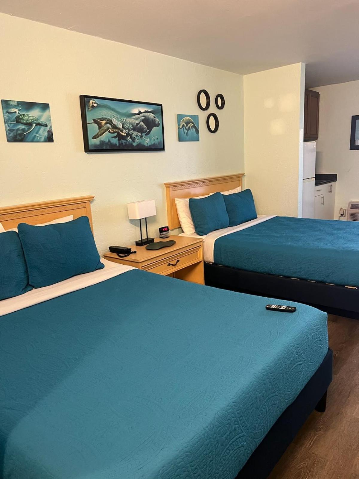 Beachside Hotel - Daytona Beach Shores 데이토나 비치 쇼어스 외부 사진